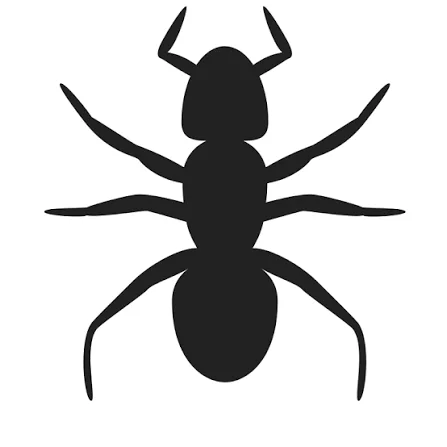 Pest Control
